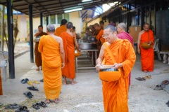 DSC08241