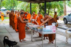 DSC08551