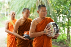 DSC04703