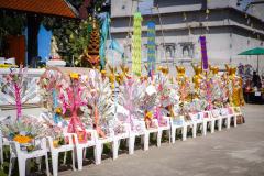 DSC01152