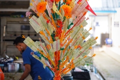 DSC05349