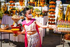 DSC05585