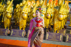 DSC05041-Enhanced-NR