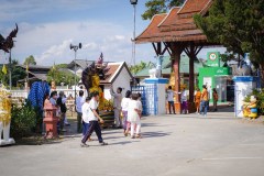 DSC09084