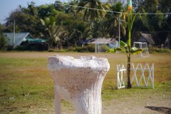 DSC00304