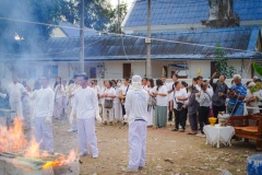 DSC08708