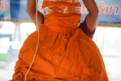 DSC02523