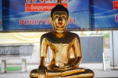 DSC02536