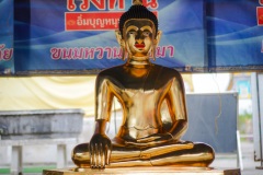 DSC02542