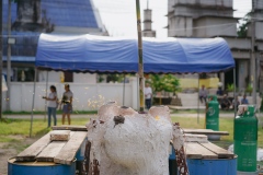 DSC08215