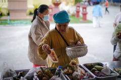 DSC04486