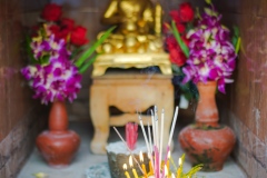 DSC05424