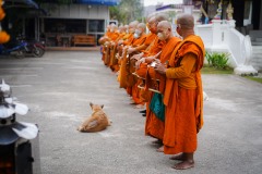 DSC00826