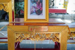 DSC00528