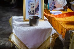 DSC07276