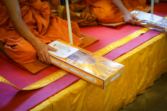 DSC03902