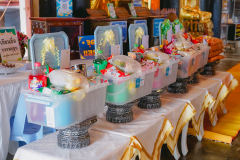 DSC08003