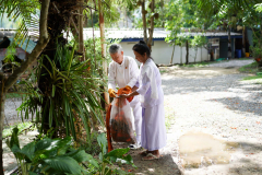 DSC00729