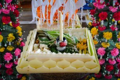 DSC02763