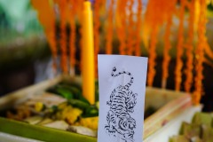 DSC03018