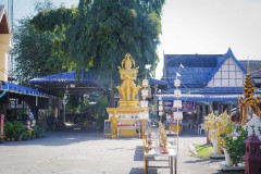 DSC08461
