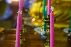 DSC08829
