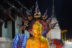 DSC08879