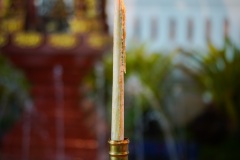 DSC09395