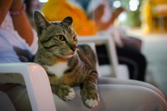DSC01418
