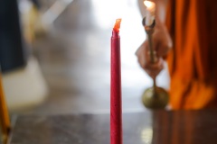 DSC01767