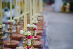 DSC05559