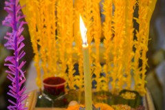 DSC07048