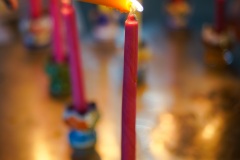 DSC09446