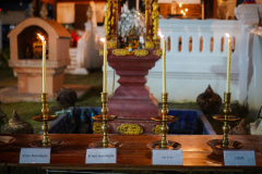 DSC09788