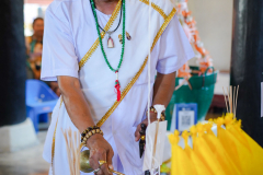 DSC07054