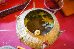 DSC08650