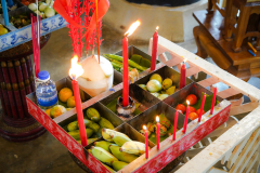 DSC08870