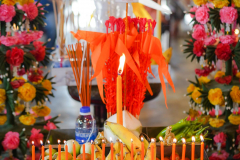 DSC08909