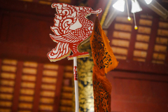 DSC01245