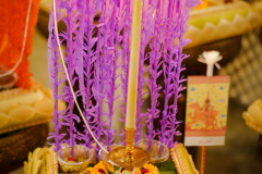 DSC01302