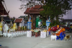 DSC06522