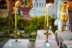 DSC06536