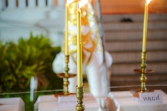 DSC06537