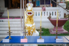 DSC06616