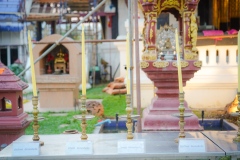 DSC07177