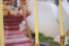 DSC01059