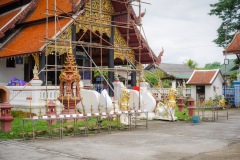 DSC06378