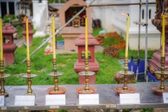 DSC06399