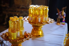 DSC01533