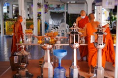 DSC01737